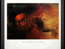 COCTEAU TWINS - VICTORIALAND - VINYL 12