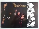 THE BLACK CROWES SHAKE YOUR MONEY MAKER DEF AMERICAN 842 515-1 INNER