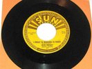 Orig 1955 Sun 223 ELVIS PRESLEY SUN 45 rpm MYSTERY TRAIN Shiny Clean