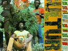 CULTURE INTERNATIONAL HERB VIRGIN INTERNATIONAL RECORDS REGGAE VINYL NEAR MINT