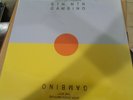 CHILDISH GAMBINO STN MTN/KAUAI DOUBLE LP MIX TAPE  VERY RARE