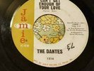 Ohio Garage Punk Jangle 45 The Dantes Can't Get Enough of Your Love HEAR