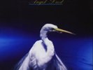 Faith No More-Angel Dust (UK IMPORT) Vinyl / 12