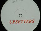 1975 Roots Reggae Dub - LEE PERRY & THE UPSETTERS - BLANK DLP 6001