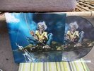 LP Iron maiden - Live in germany 2014 ( picture disc )  New   vinyl record