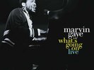 Marvin Gaye - What's Going On Live - Vinyl 2 x LP (2019) - SEALED