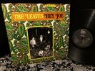CLEAN  1966 ORIG   THE LEAVES   HEY JOE   HIP SUNSET STRIP FUZZ GARAGE FOLK ROCK
