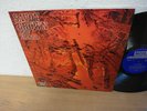 SAVOY BROWN Raw Sienna 1970 BLUES PSYCH (Spain) LP POKORA MINT