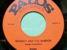 Scates Baby - Baby - Baby Monkey and The Baboon  /  PALOS-92274