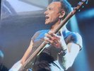 Sting Record Vinyl 57th And 7th Live From Chicago.