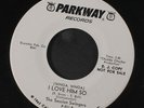 NIKKI BLU: I Love Him So / Instro 45 (dj, vinyl issue, close to M Soul