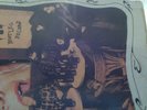 QUEBEC/ MUSIQUE/ RARE LP/ PLUME LATRAVERSE/ LE VIEUX SHOW SON SALE