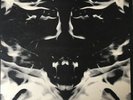 MOTT THE HOOPLE MAD SHADOWS 12” VINYL LP. ILPS 9119. 1st PRESS. 1970. ISLAND