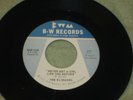 THE ES-SHADES B-W #804 Good Lovin / Never Met A Girl Like You Before GARAGE