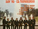 Los Yonics Soy Yo El Tamarindo Latin Soul Ballad Synth Cumbia Gurpero lp 1978