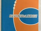 Beaver Lodge 10