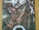 Tormentor Anno Domini LP Vinyl Schallplatte Black Metal Bathory Venom Nifelheim