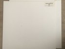 ANALOGUE PRODUCTION TEST PRESSINGS BEACH BOYS  PET SOUNDS MONO 45RPM LP
