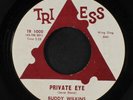 BUDDY WILKINS: Private Eye / They're Gonna Investigate You 45 (clean Soul