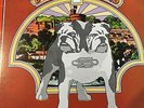 STATUS QUO...DOG OF TWO HEAD - - 1971 Australian ASTOR 12