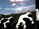 Die Ärzte - Satanische Pferde Rare Limited Lp