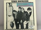 The Dickies 10