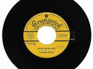 ROCK & ROLL 45 THE DING DONGS NOW WE'RE ONE ON BRUNSWICK  VG+ ORIGINAL PROMO