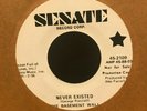 garage psych fuzz 45 THE BASEMENT WALL Never Existed . SENATE listen