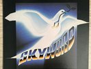 SKYWORD ST LP XIAN ROCK MODERN SOUL DRUM BREAK PRIVATE RARE NM