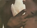 SANTANA - The Best Of - Greatest Hits Vinyl LP Record NEW / Sealed