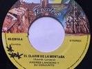 ANDRES LANDERO   EL CLARIN DE LA MONTAÑA / SABOR DE  GAITA   ACORDEON CUMBIA