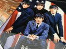 The Beatles - Picture Disc - At the Hollywood Bowl - Ltd Edit Beatles Fan Club 