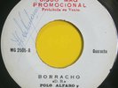 POLO ALFARO 