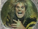 ozzy osbourne vinyl The Ultimate Sin Picture Disc