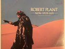 ROBERT PLANT NON-STOP GO 2 LP 1988 PROMO INTERVIEW ALBUM NEAR MINT PRO CLEANED