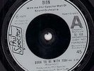 DION Born To Be With You 7