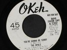 OPALS: You're Gonna Be Sorry / You Can't Hurt Me No More 45 (dj, wol) Soul