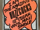 BUZZCOCKS I Am The Amazing Buzzcocks 12