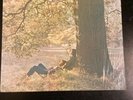 JOHN LENNON  PLASTIC ONO BAND SW 3372 LP 1970 APPLE IN SHRINE