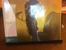 The Flaming Lips The Soft Bulletin VinylMePlease SEALED Mustard Yellow Vinyl