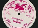 SEALED NEW 12 INCH Heptones - Meaning Of Life (Extended Mix)  /  Heptones - Dece