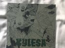 Rare Kylesa 7” Just 36 Made, Mastodon, Eyehategod, Baroness, High On Fire, Sleep