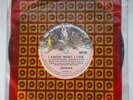 GENESIS I Know What I Like / Carpet Crawl – Brazil 45/7” Single – rare