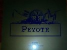 12 inches Vinyl Techno Trance Clasics Peyote, I will fight no more / 004
