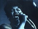 Big Mama Thornton: The Queen At Monterey-1970s Arhoolie 2nd Pressing 12