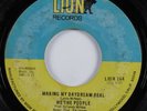 70s Soul 45 WE THE PEOPLE Making My Daydream Real LION HEAR