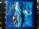 Nightwish ?– The Siren  Vinyl, 10