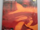 SLOWDIVE - JUST FOR A DAY 1991 UK shoegaze/indie Creation 12