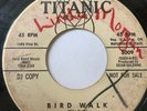 Hot Rod Surf Promo 45/ Heyburners 