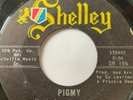 Mad Mike Tittyshaker (Ghoulardi) 45/ Baby Sticks & Kingtones 